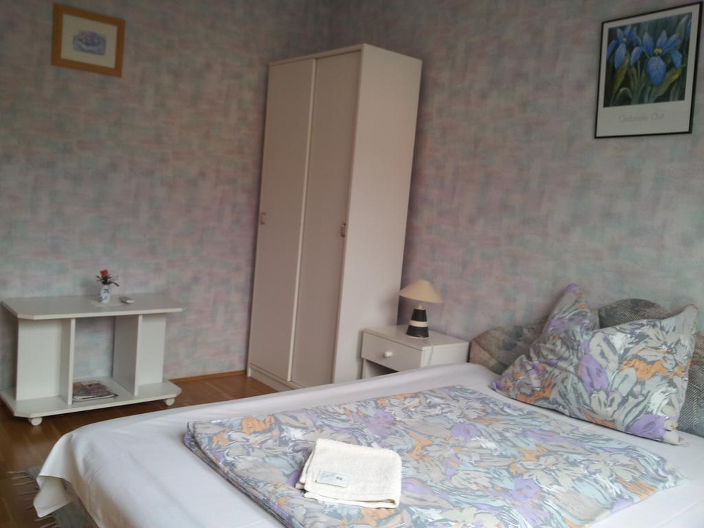 Agi Panzio Obuda Budapest Phòng bức ảnh