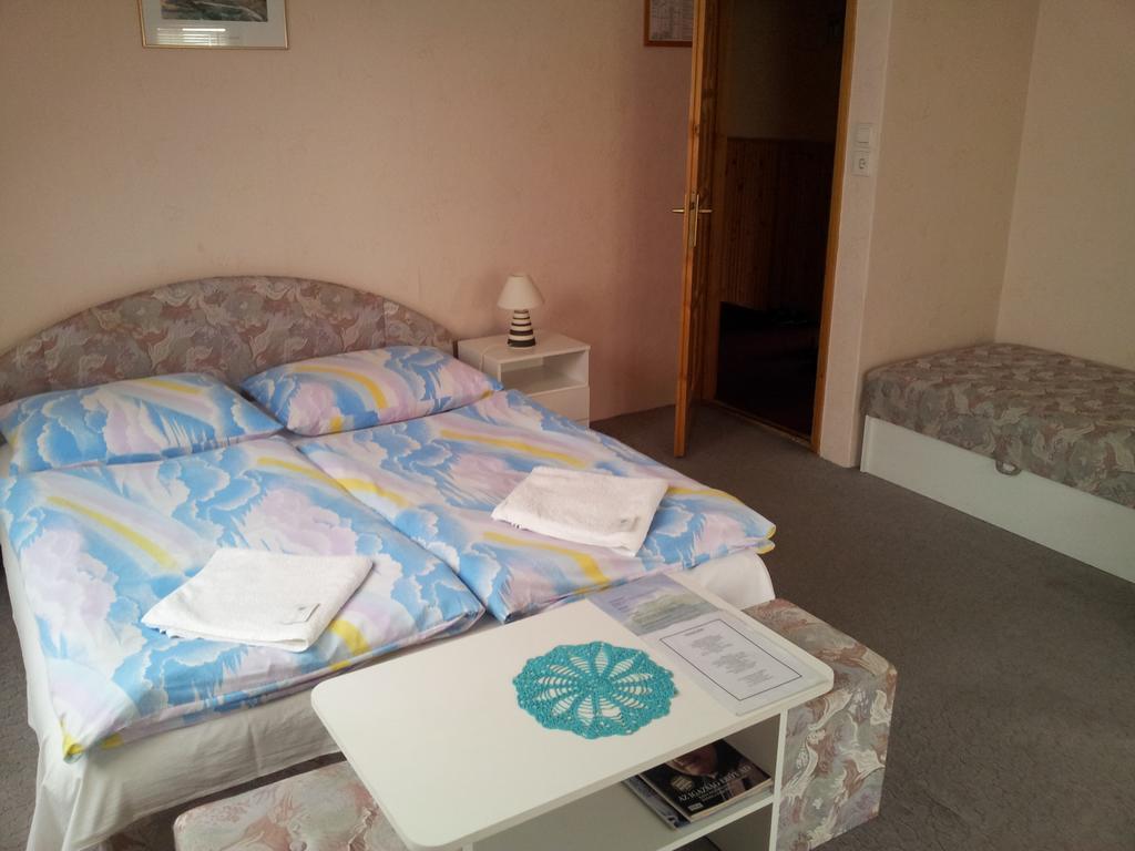 Agi Panzio Obuda Budapest Phòng bức ảnh