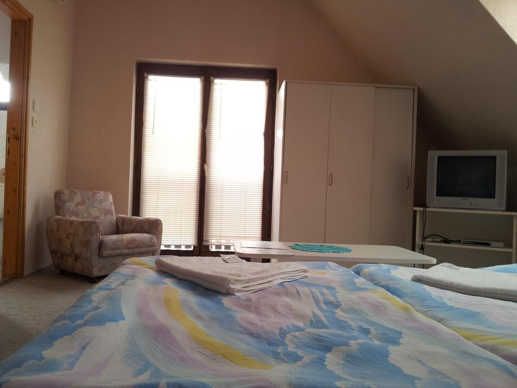 Agi Panzio Obuda Budapest Phòng bức ảnh